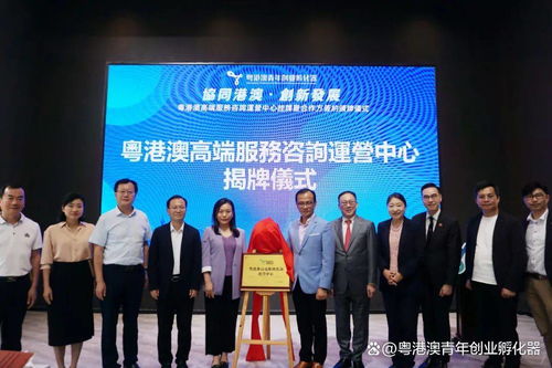粤港澳青年创业孵化器 数智赋能企业成长，打造粤港澳双创高质量发展孵化载体